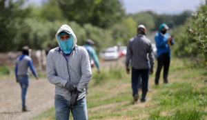 IMMIGRANTS